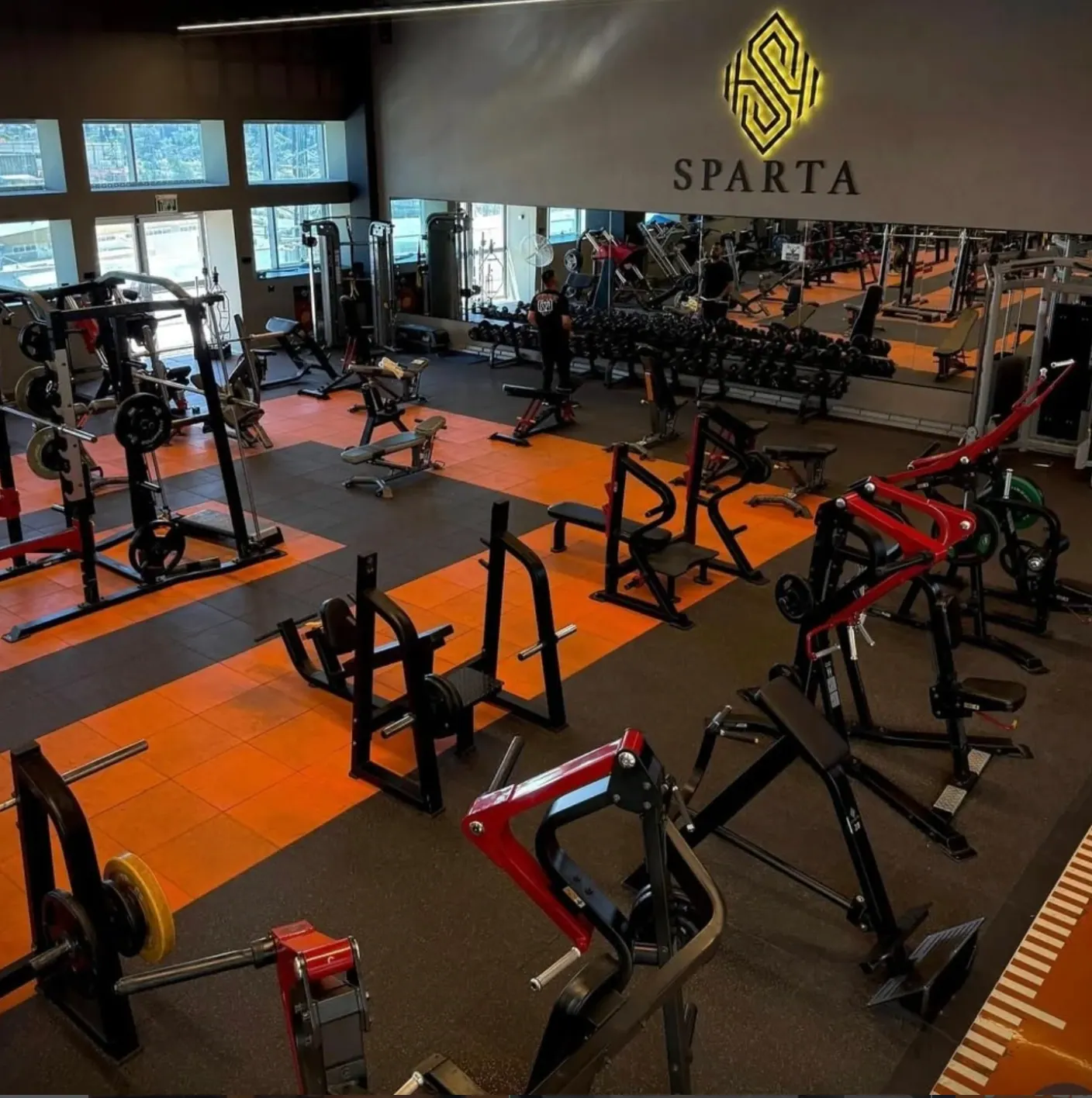 Floor · Sparta wall